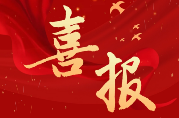 喜報(bào)｜中器集團(tuán)榮獲2024年度安全成績(jī)突出集體獎(jiǎng)